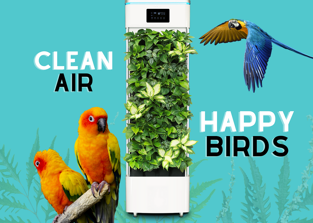 Stunning Avian Air Conditioning Units For Parrots image